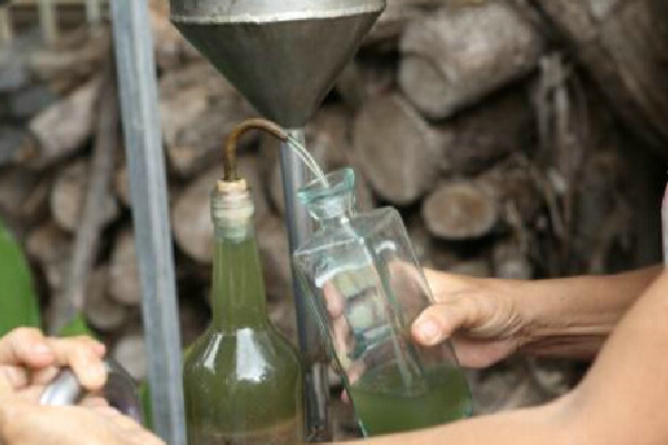 天竺葵精油的功效與作用，美容護膚、養生減壓