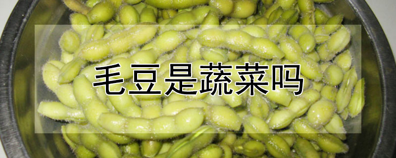 毛豆是蔬菜嗎