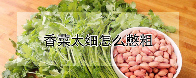 香菜太細(xì)怎么憋粗