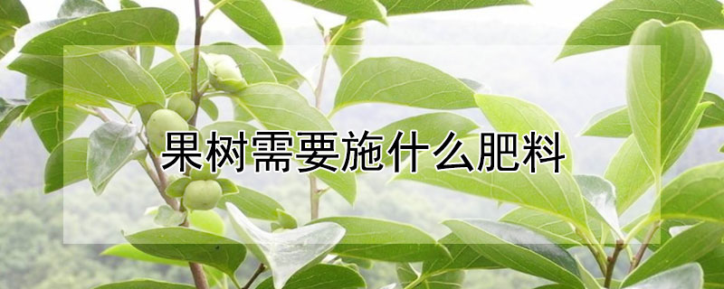 果樹需要施什么肥料