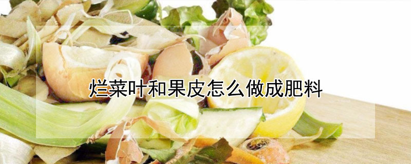 爛菜葉和果皮怎么做成肥料