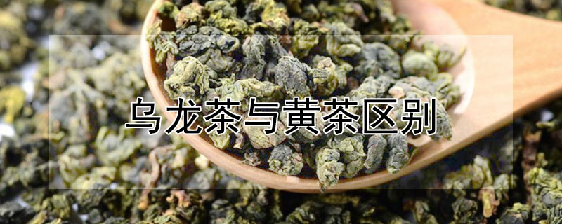 烏龍茶與黃茶區(qū)別