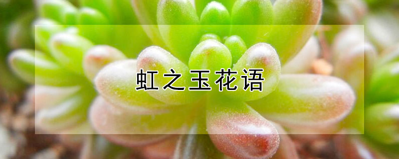 虹之玉花語(yǔ)