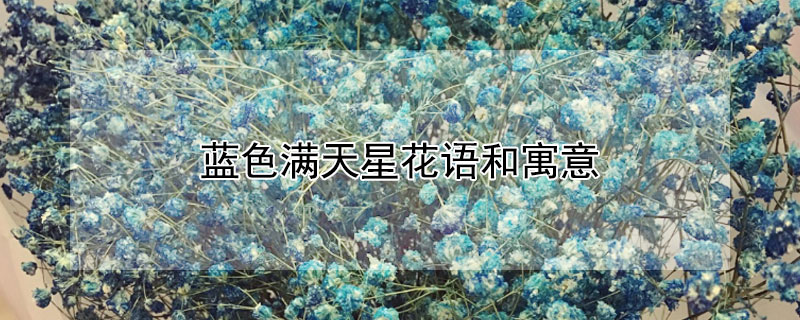 藍色滿天星花語和寓意