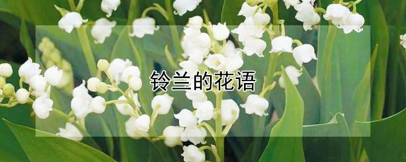 鈴蘭的花語