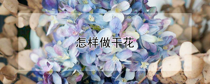 怎樣做干花