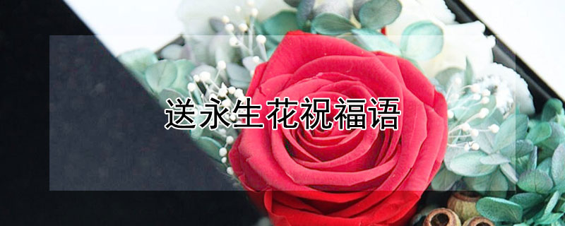 送永生花祝福語(yǔ)