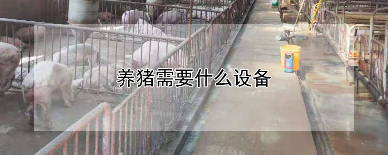 養豬需要什么設備