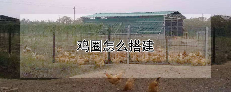 雞圈怎么搭建