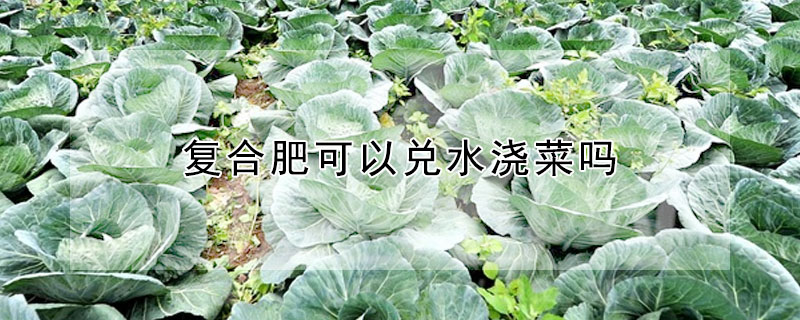 復合肥可以兌水澆菜嗎