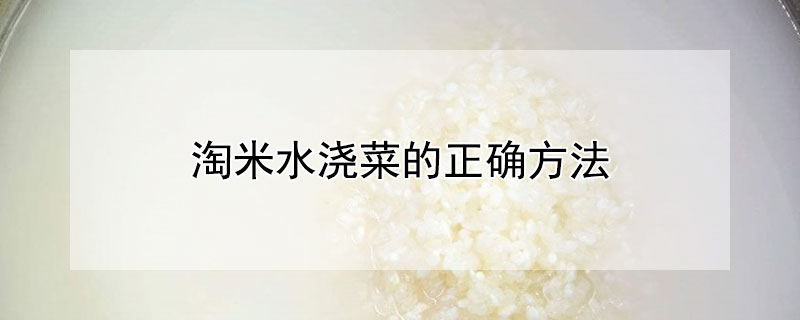 淘米水澆菜的正確方法