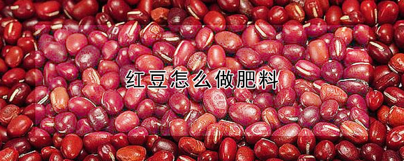 紅豆怎么做肥料