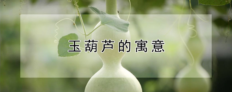 玉葫蘆的寓意