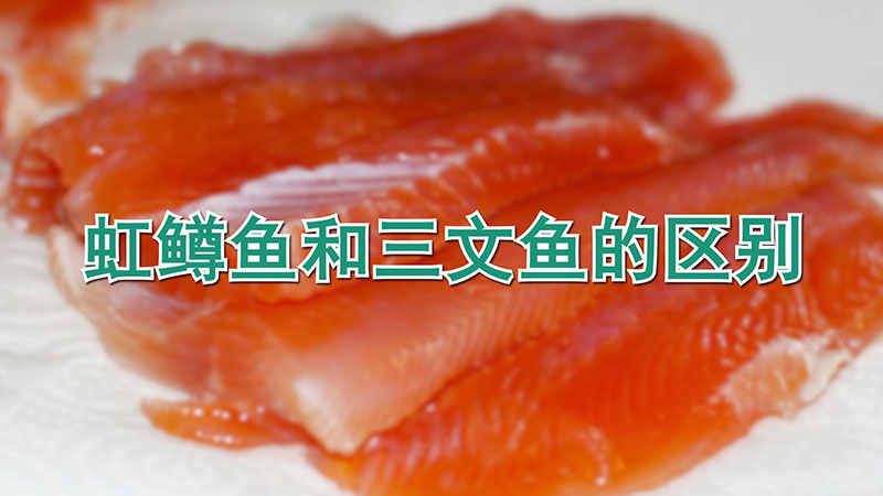 虹鱒魚和三文魚的區別