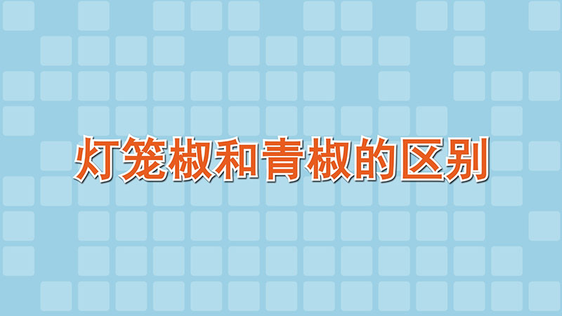 燈籠椒和青椒的區(qū)別