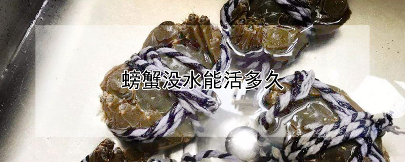 螃蟹沒(méi)水能活多久