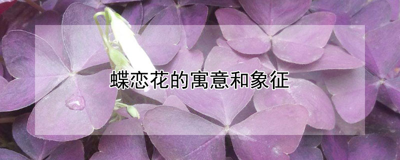 蝶戀花的寓意和象征