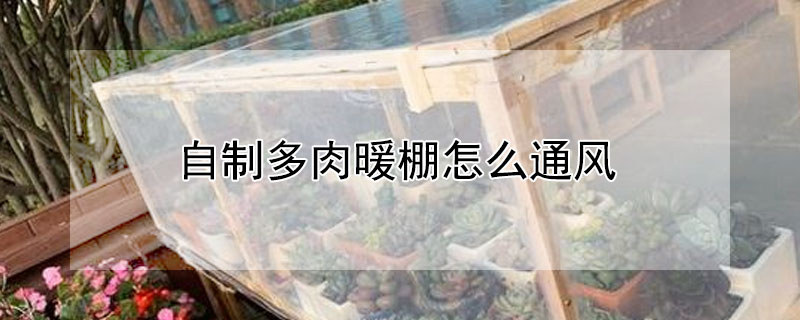 自制多肉暖棚怎么通風