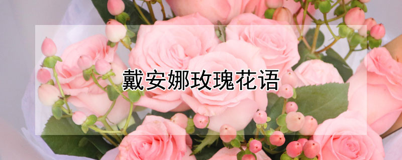 戴安娜玫瑰花語