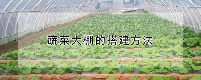 蔬菜大棚的搭建方法