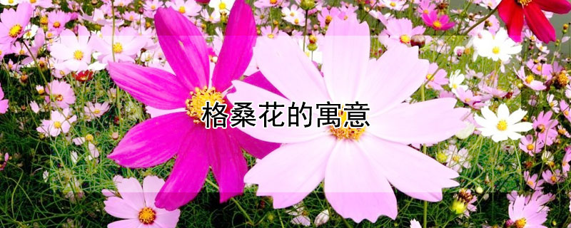 格?；ǖ脑⒁?></a></div>
                    </div>
                    <h3><a href=