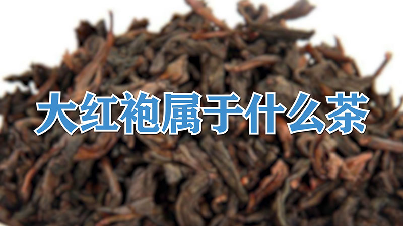 大紅袍屬于什么茶