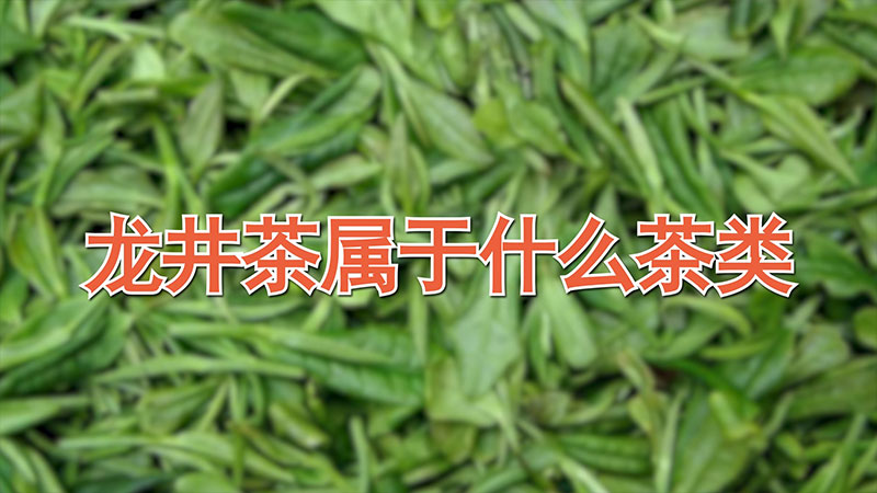 龍井茶屬于什么茶類