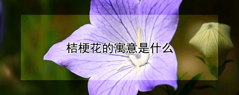 桔?；ǖ脑⒁馐鞘裁?></a></div>
                    </div>
                    <h3><a href=