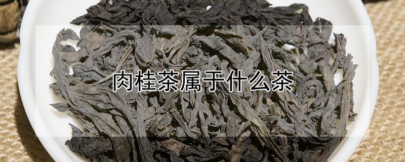 肉桂茶屬于什么茶