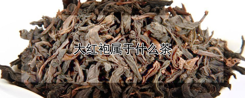 大紅袍屬于什么茶