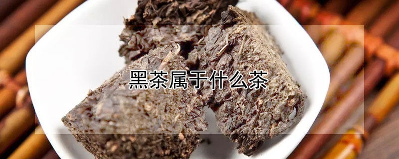 黑茶屬于什么茶