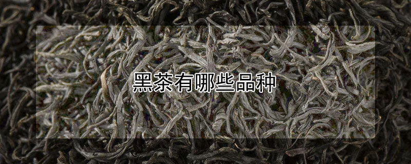 黑茶有哪些品種