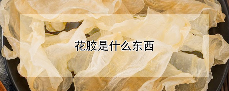 花膠是什么東西