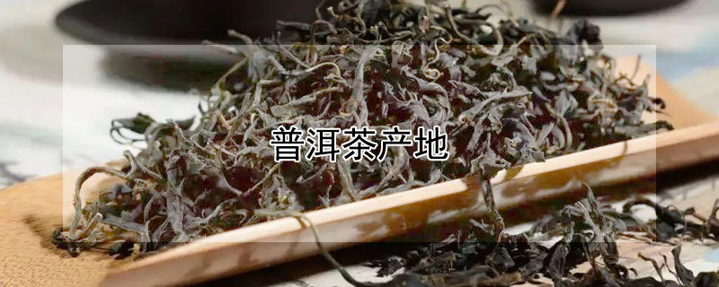 普洱茶產(chǎn)地