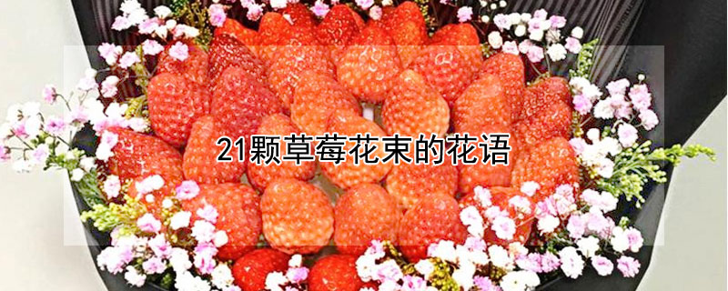 21顆草莓花束的花語(yǔ)