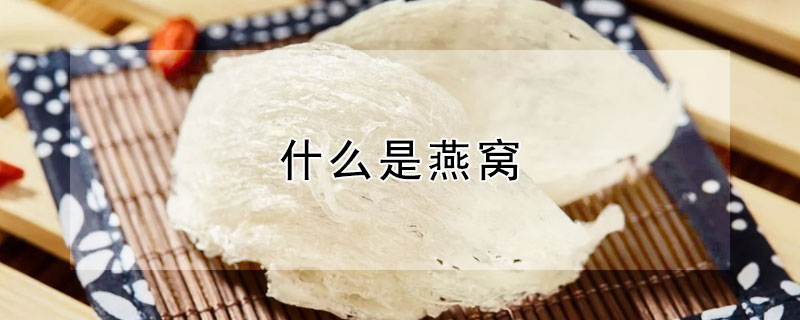 什么是燕窩