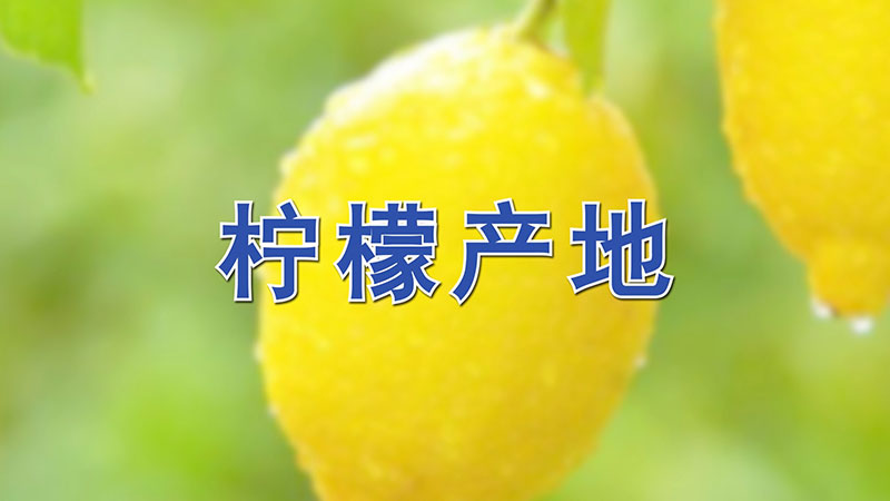 檸檬產(chǎn)地