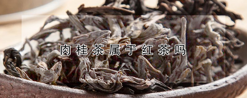 肉桂茶屬于紅茶嗎