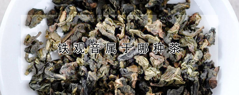 鐵觀音屬于哪種茶