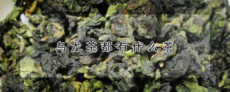 烏龍茶都有什么茶