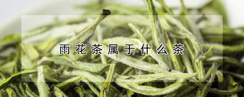 雨花茶屬于什么茶