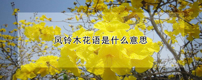 風(fēng)鈴木花語是什么意思