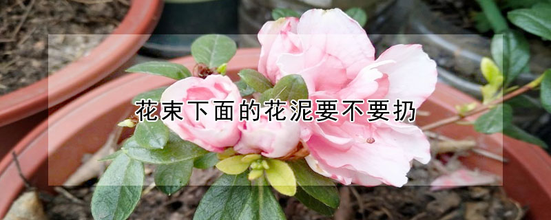 花束下面的花泥要不要扔