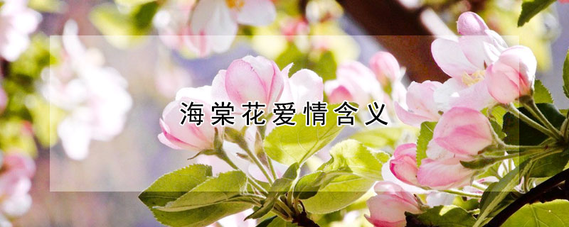 海棠花愛(ài)情含義