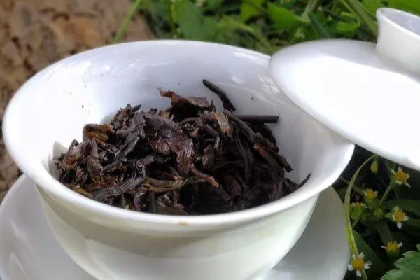 普洱茶頂級是什么茶