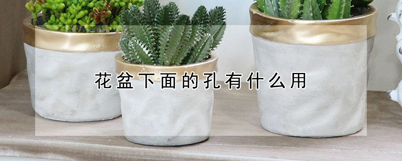 花盆下面的孔有什么用