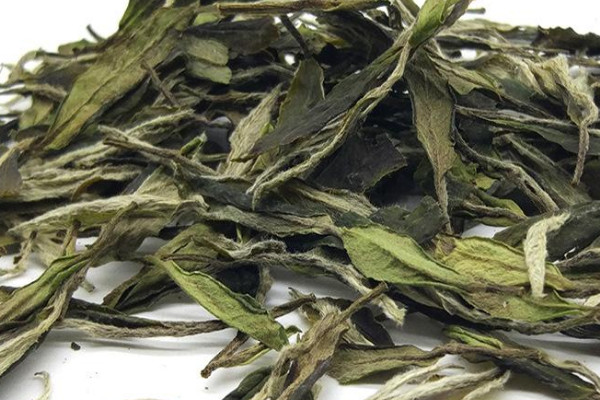 白牡丹茶屬于什么茶類 茶葉白牡丹是什么茶