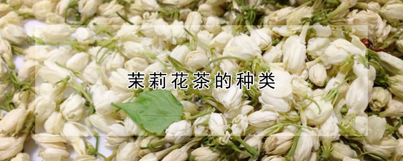 茉莉花茶的種類