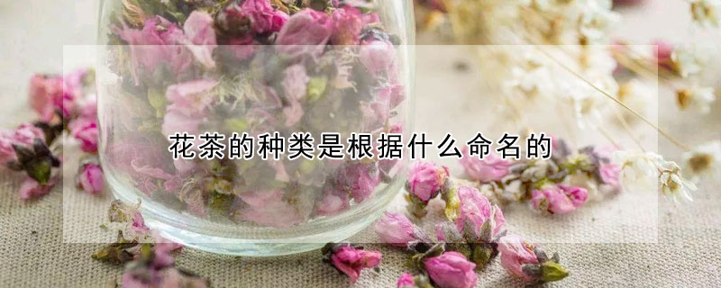 花茶的種類是根據(jù)什么命名的