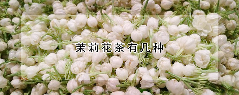 茉莉花茶有幾種